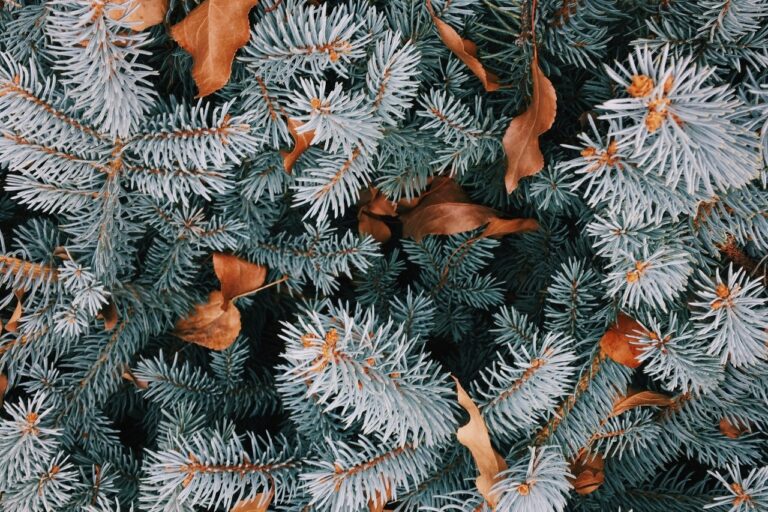 WhatsApp Image 2024-11-06 at 17.02