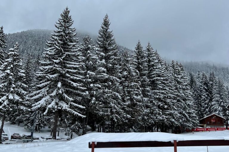 Carti de iarna si de Craciun pentru copii